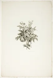 Ramo con peonías, de la colección de diferentes ramos de flores, inventado y dibujado por Jean Pillement y grabado por P. C. Canot