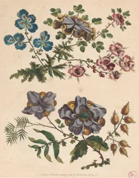 Dos ramilletes de flores imaginarias