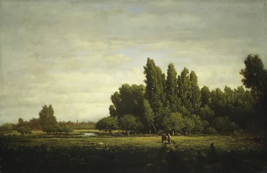 Un prado bordeado de árboles