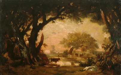 Despeje en los bosques de Fontainebleau