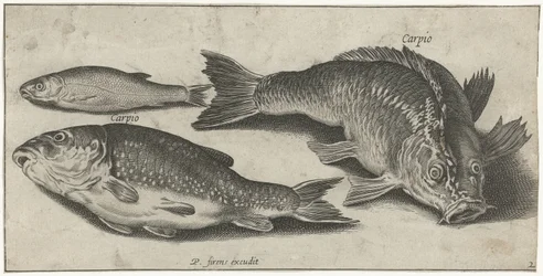 tres carpas Pesca (título de la serie) Iconos de Piscium vivae (título de la serie)