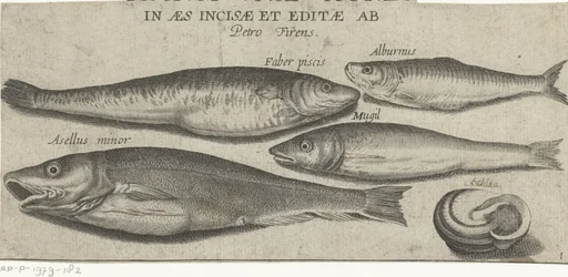 Espadín, carpa, salmonete, bacalao pequeño y una concha Pesca (título de la serie) Iconos de Piscivm vivae (título de la serie en el objeto)
