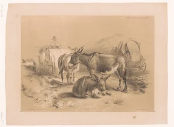 Estudio de tres burros
Estudios sobre animales de Cooper (título de la serie)
Études d