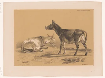Estudio de dos burros
Estudios sobre animales de Cooper (título de la serie)
Études d