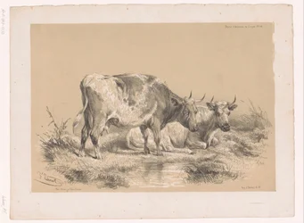 Estudio de dos vacas
Estudios sobre animales de Cooper (título de la serie)
Études d