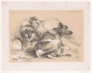 Estudio de dos ovejas y una vaca
Estudios sobre animales de Cooper (título de la serie)
Études d