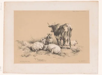 Estudios de cuatro ovejas y una vaca
Estudios sobre animales de Cooper (título de la serie)
Études d