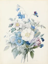 Ásteres azules, rosa spinosissima (híbrida), campanilla, violas, clavel y una rosa silvestre.
