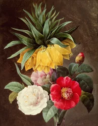 Flores exóticas
