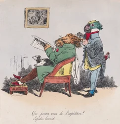 ¿Qué piensas de la expedición de Metamorfosis del Día, 1829