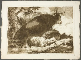 Un toro y dos ovejas