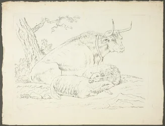 Un toro y dos ovejas