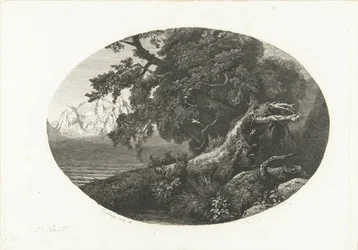 Tronco de árbol desarraigado en la costa