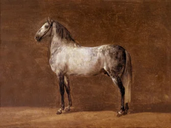 Caballo del emperador Napoleón I: el Cheikh, pintura de Pierre Martinet