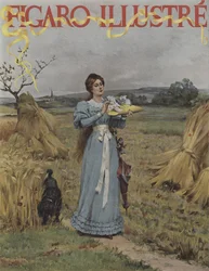 En los campos de maíz