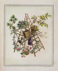 Diseño textil de jardín, de Oeuvre contenant un Receuil de Trophees, Attributs, Cartouches, Vases, Fleurs, Ornemens, et Plusieurs Dessins agréables pour broder des Fauteuils, grabado por Etienne C
