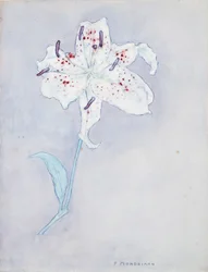 Lirio, c.1920-25