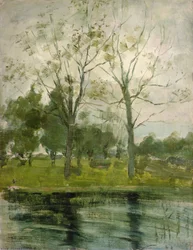 Dos árboles silueteados detrás de un curso de agua