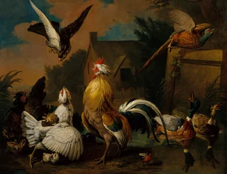 Un halcón atacando aves de corral en una granja