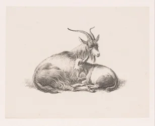 Buck y una cabra