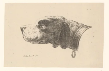 cabeza de perro con collar