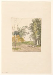 Paisaje con gallinas a lo largo de la carretera