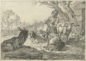 Pastora en medio de cabras y ovejas Diferentes animales (título de la serie)