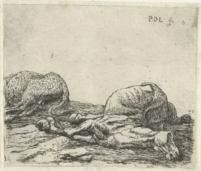 Dos caballos muertos Caballos (título de la serie)