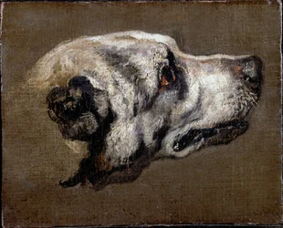 Cabeza de un sabueso