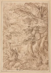 Paisaje forestal con animales salvajes