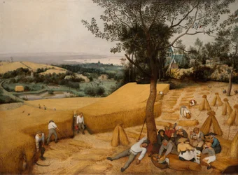 Los cosechadores, 1565