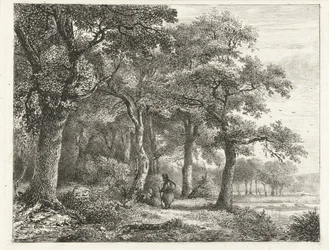Paisaje de bosque con hombre con mochila.