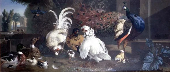 Un pavo real, gallinas, patos y un martín pescador