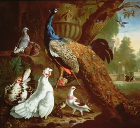 Un pavo real en un paisaje clásico, 1719