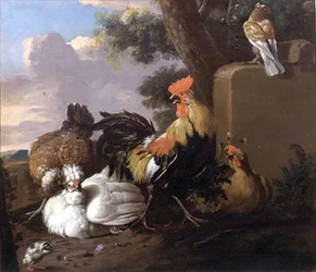 Aves en un paisaje