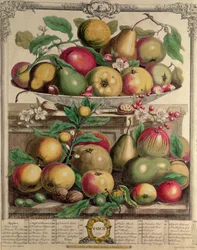 Marzo, de 