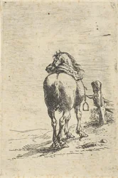 Caballo ensillado en un poste