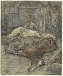 Matanza de dos caballos