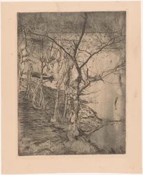 Árboles desnudos junto al agua