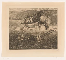 Caballo de labranza en una colina
L