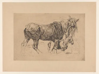 Hoja de estudio con dos caballos