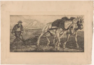 Dos caballos de labranza