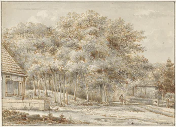 Camino forestal con dos casas