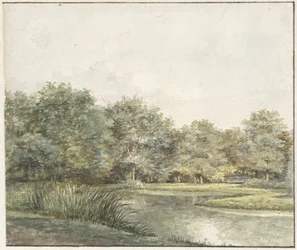 Paisaje con árboles al borde del agua