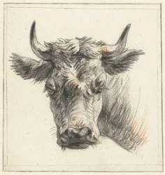 Cabeza de bovino