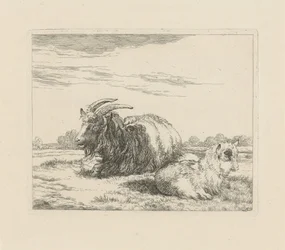 Cabrito y cabrito reclinados Ovejas y cabras (título de la serie)