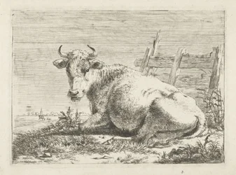 Vaca tumbada junto a una valla Vacas (título de la serie)