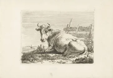 Vaca tumbada cerca de una valla
Vacas (título de la serie)