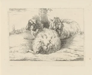 ovejas mentirosas Ovejas y cabras (título de la serie)