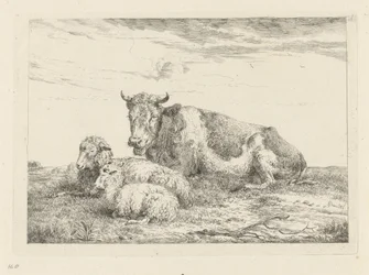 Vaca dormida con oveja y cordero.